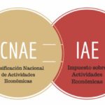 Conversor CNAE IAE • Qué es y cómo utilizarlo