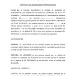 Modelo de contrato de negocio en participacion argentina